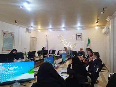  کمیته اجرایی برنامه بیمه روستایی و پزشکی خانواده 